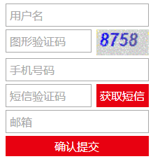 FRM 備考資
料